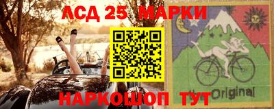 шишки Аргун