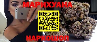 шишки Аргун