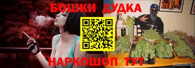 шишки Аргун